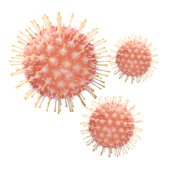Disinfezione-e-Sanificazione-1-1.png